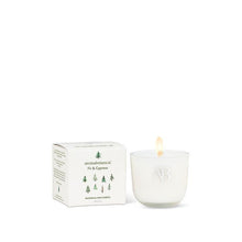 Load image into Gallery viewer, Aromabotanical Fir and Cypress