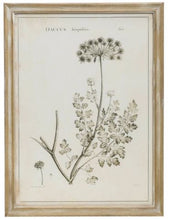 Load image into Gallery viewer, Framed Vintage Reproduction Floral Prints