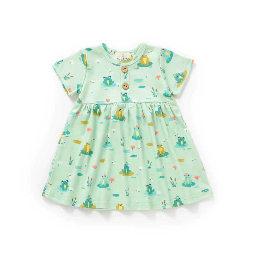 Dress Frog