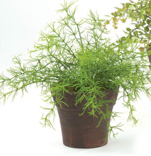Load image into Gallery viewer, Potted Faux Plants
