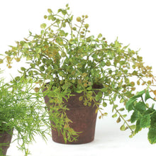 Load image into Gallery viewer, Potted Faux Plants
