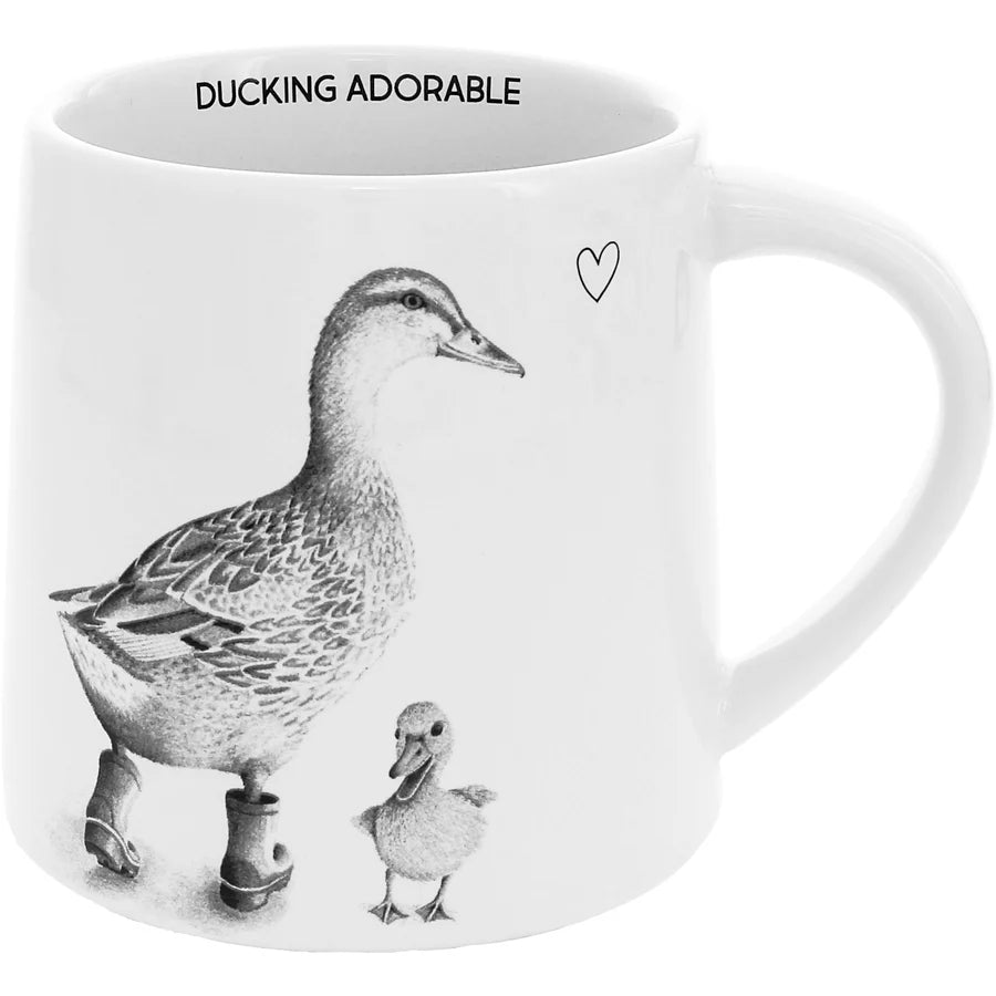 Mug Ducks