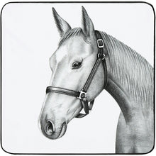 Load image into Gallery viewer, Coasters Animal Antics
