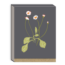 Load image into Gallery viewer, Pocket Notepads
