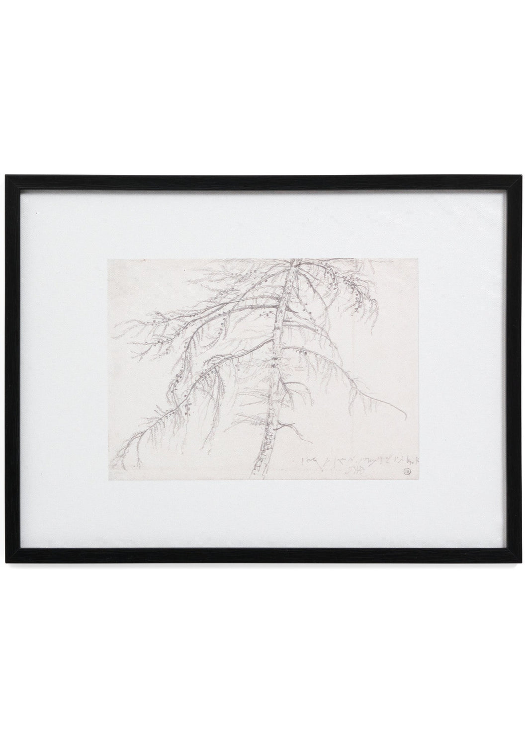 Framed Art Tree Sketch