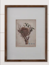 Load image into Gallery viewer, Framed Prints Colored Nests
