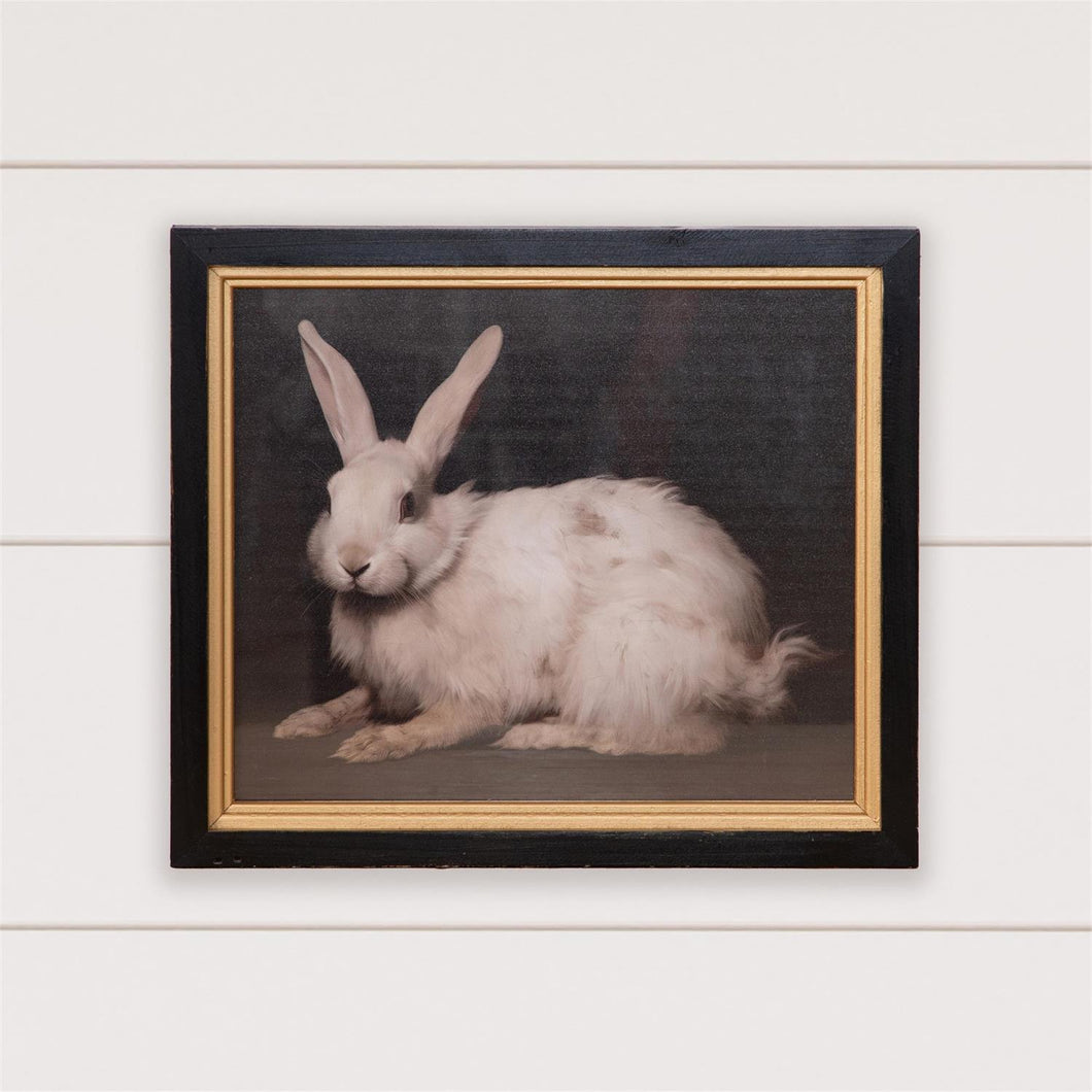 Framed Print Handsome Rabbit