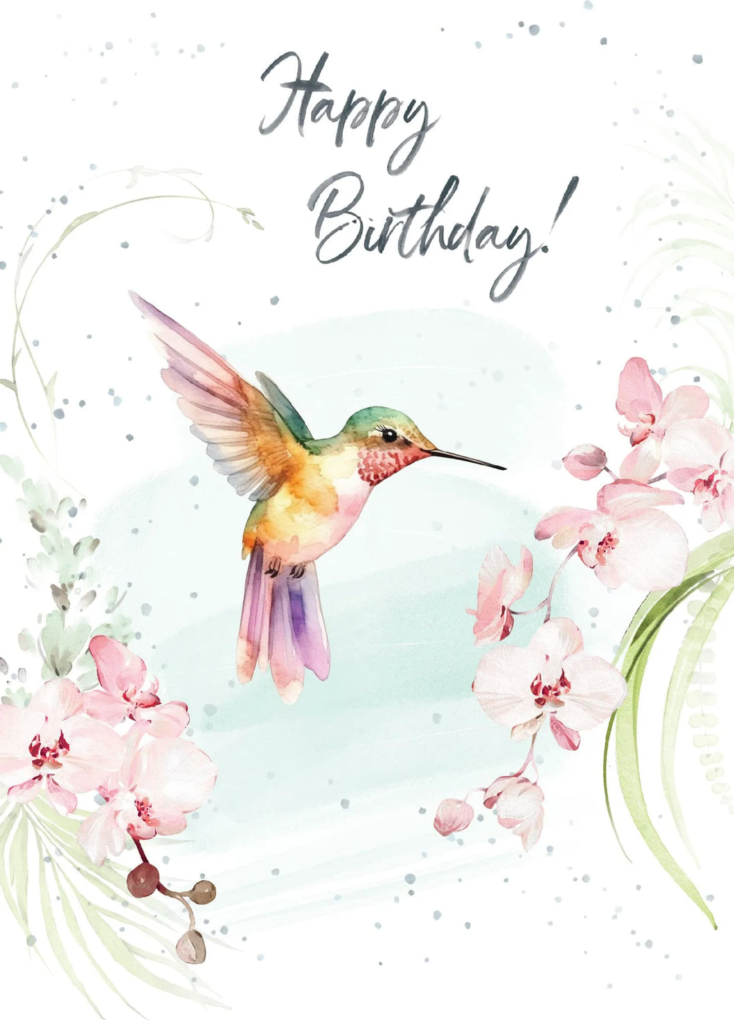 Card Birthday Hummingbird Orchids