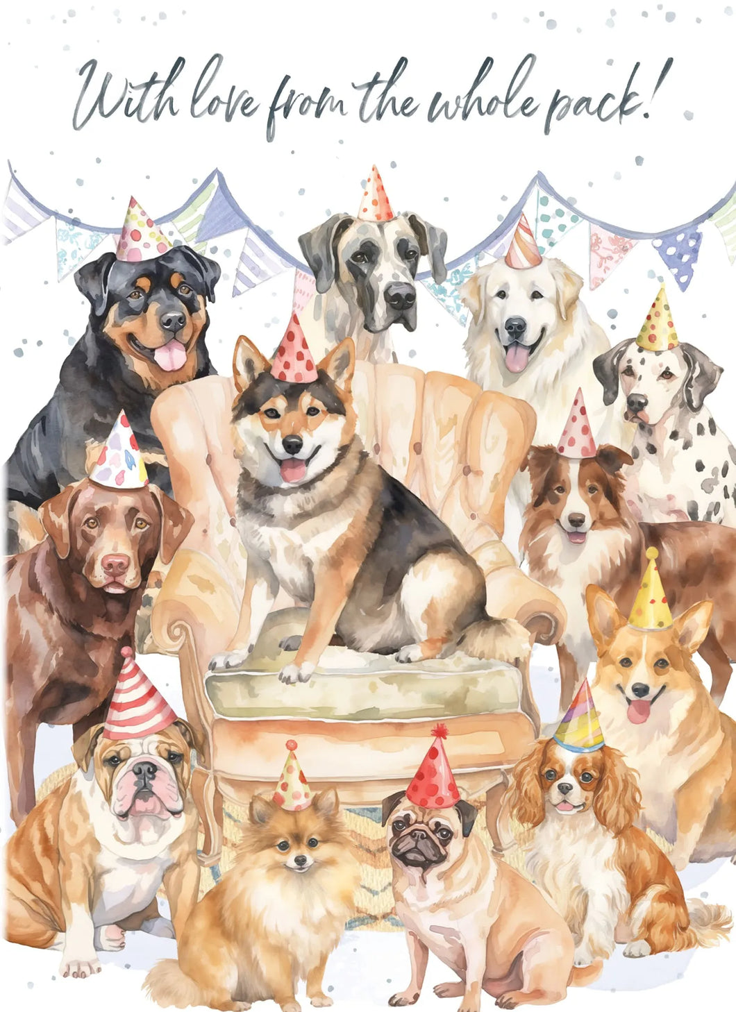 Card Birthday
