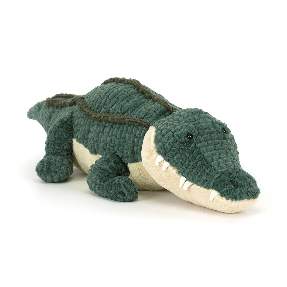 Allexi  Alligator