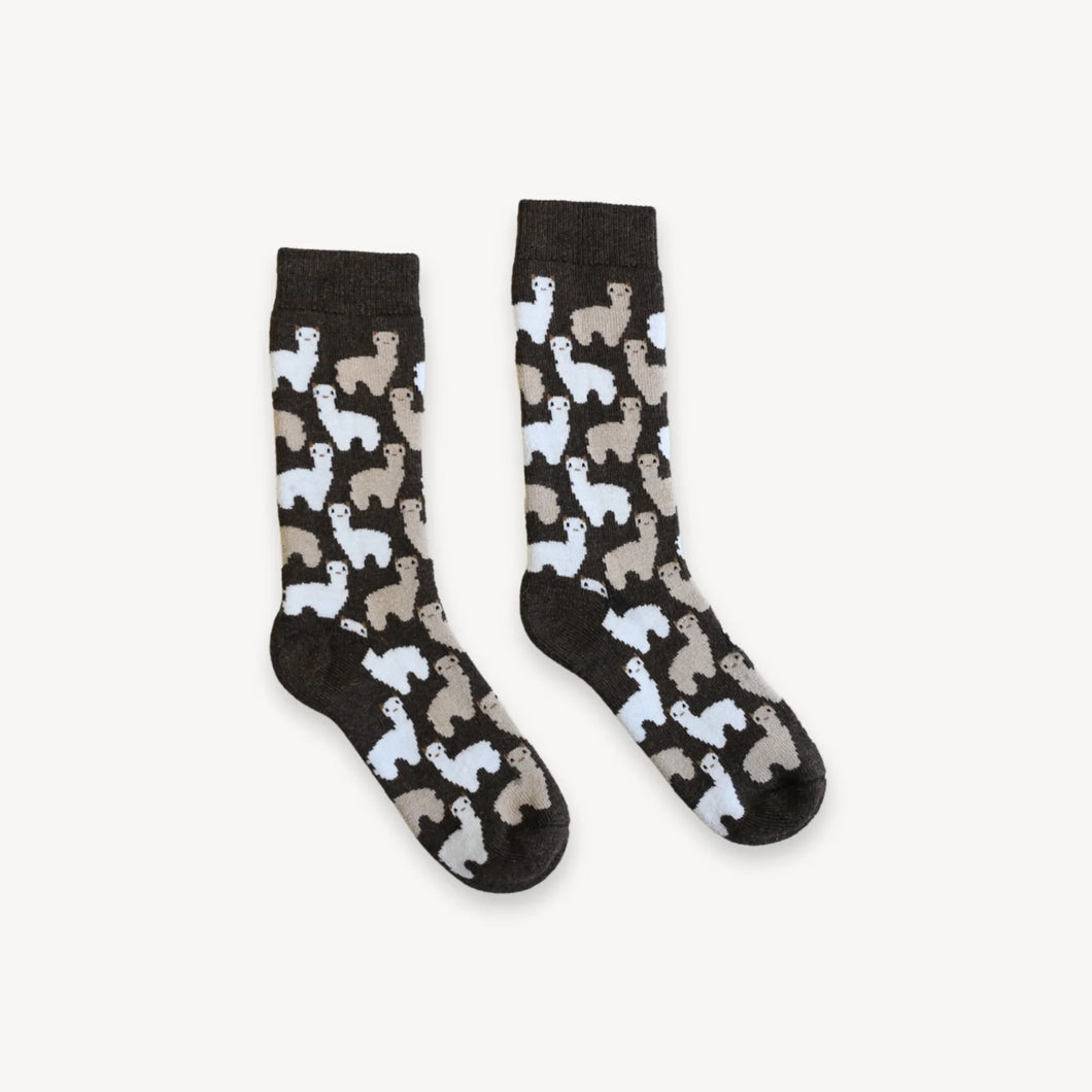 Socks Alpaca Herd