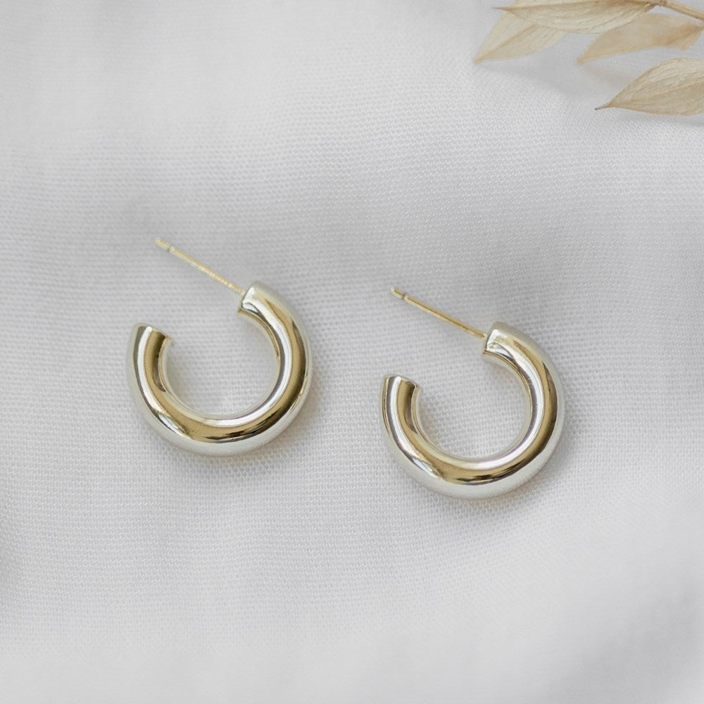 Earrings Ample Hoops
