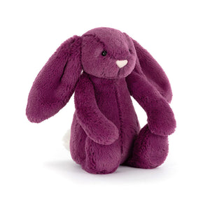 Bashful Bunny Small Allium
