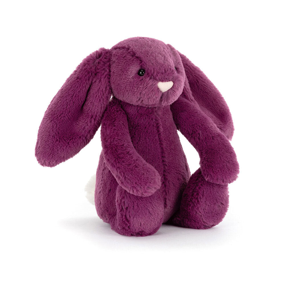 Bashful Bunny Small Allium