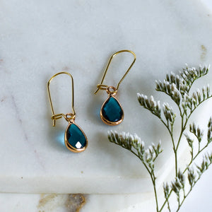 Earrings Small Kidney Hoops