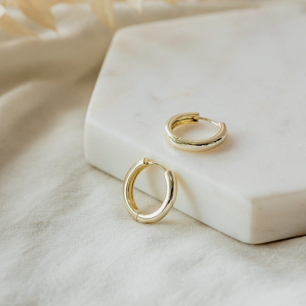Earring Mini  Circular Hoops