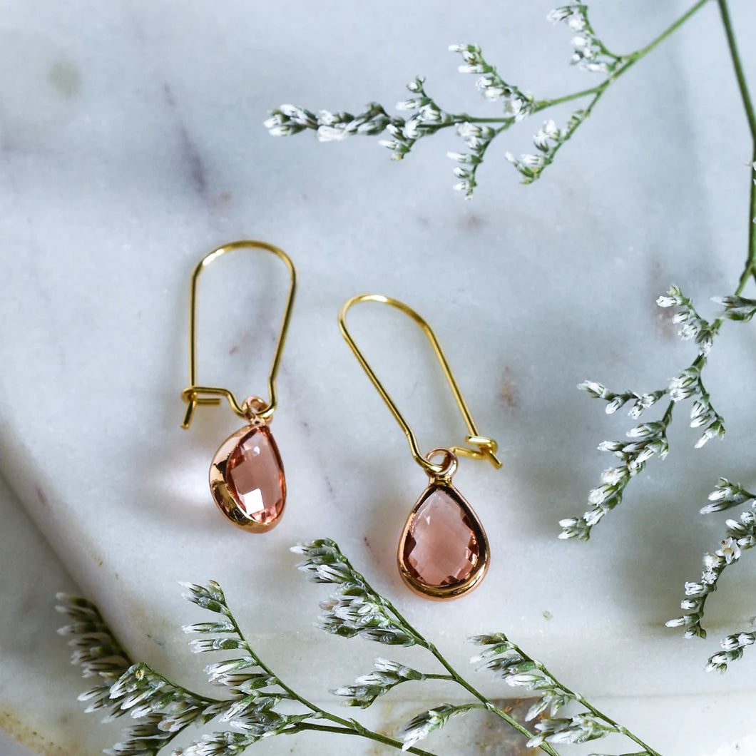 Earrings Small Kidney Hoops