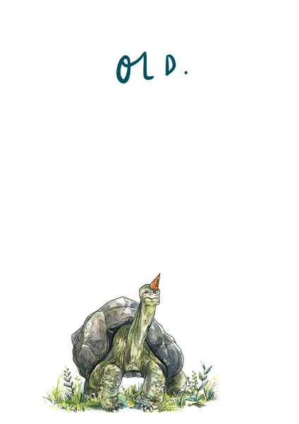 Card Birthday Blank Old