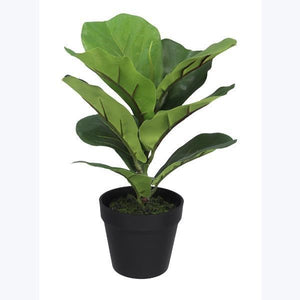 Plant Artificial Ficus In Pot