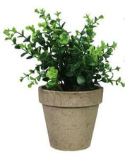 Load image into Gallery viewer, Plant Artificial Boxwood In Pot
