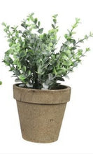 Load image into Gallery viewer, Plant Artificial Boxwood In Pot
