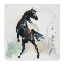 Load image into Gallery viewer, Coasters Wild Horses Set of 4
