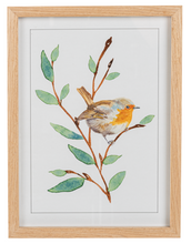 Load image into Gallery viewer, Framed Art Watercolor Robin
