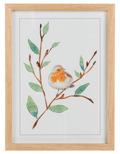 Load image into Gallery viewer, Framed Art Watercolor Robin
