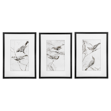 Load image into Gallery viewer, Framed Art Birds Black And White
