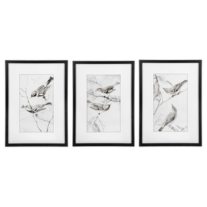 Framed Art Birds Black And White