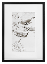 Load image into Gallery viewer, Framed Art Birds Black And White
