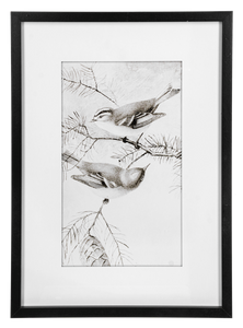 Framed Art Birds Black And White