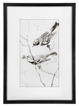 Load image into Gallery viewer, Framed Art Birds Black And White
