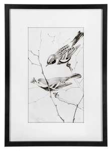 Framed Art Birds Black And White