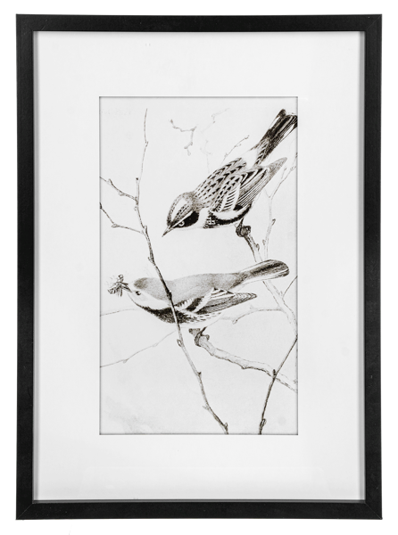 Framed Art Birds Black And White