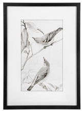 Load image into Gallery viewer, Framed Art Birds Black And White
