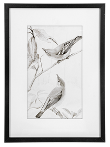 Framed Art Birds Black And White