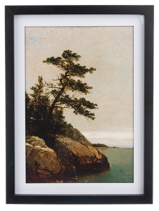 Framed Print Tree By Water