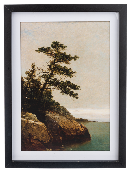 Framed Print Tree By Water