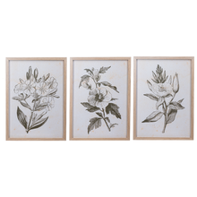 Load image into Gallery viewer, Framed Art Green Botanicals
