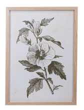 Load image into Gallery viewer, Framed Art Green Botanicals
