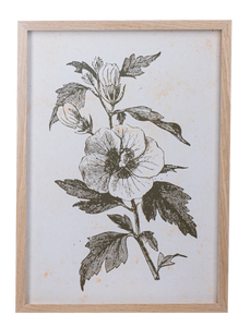 Framed Art Green Botanicals
