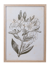 Load image into Gallery viewer, Framed Art Green Botanicals

