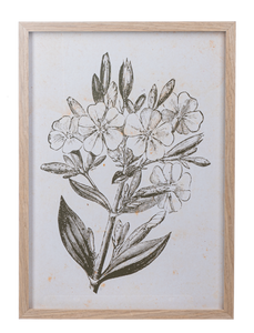 Framed Art Green Botanicals