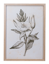 Load image into Gallery viewer, Framed Art Green Botanicals
