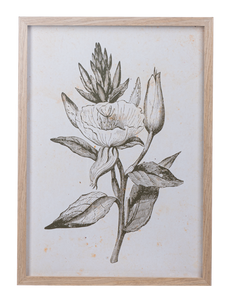 Framed Art Green Botanicals