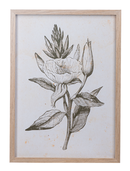 Framed Art Green Botanicals