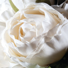 Load image into Gallery viewer, Posey White Peony
