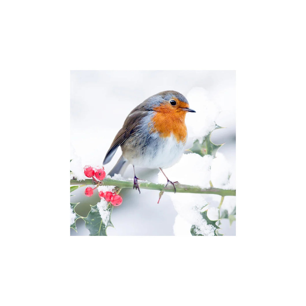 Napkin Luncheon Christmas Bird