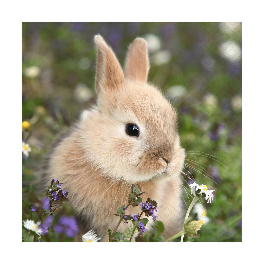 Napkin Luncheon Bunny In Field